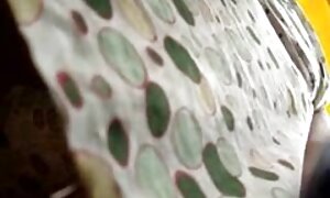 متناسب با عکس سکس پسر ومادر آلت تناسلی مرد